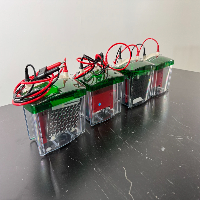 Bio-Rad Mini-Trans Blot Cells - Quantity 4 image 0